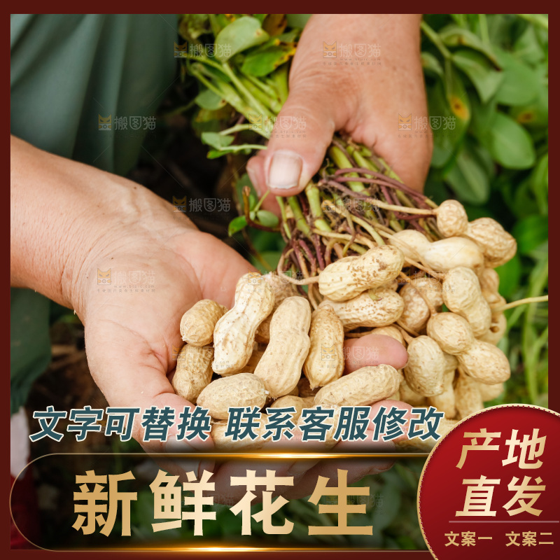 手里的拿着现摘花生