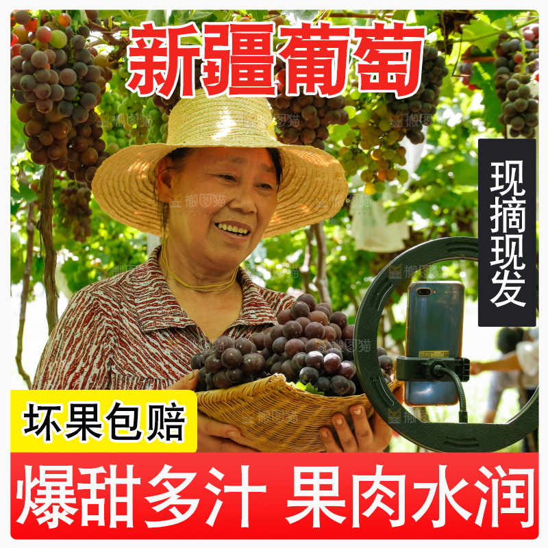 农民手里拿着一筐新鲜葡萄