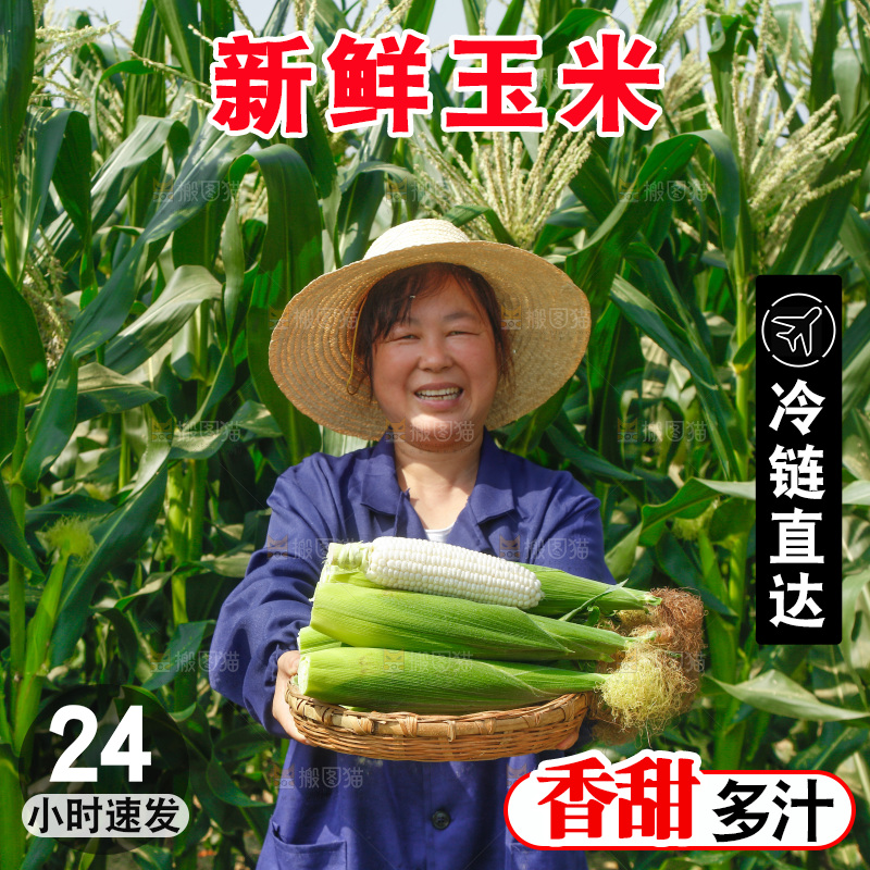 农民手里拿着牛奶玉米