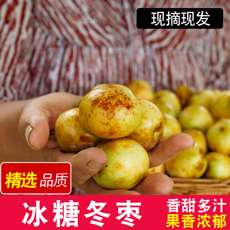 手里拿着大荔冬枣
