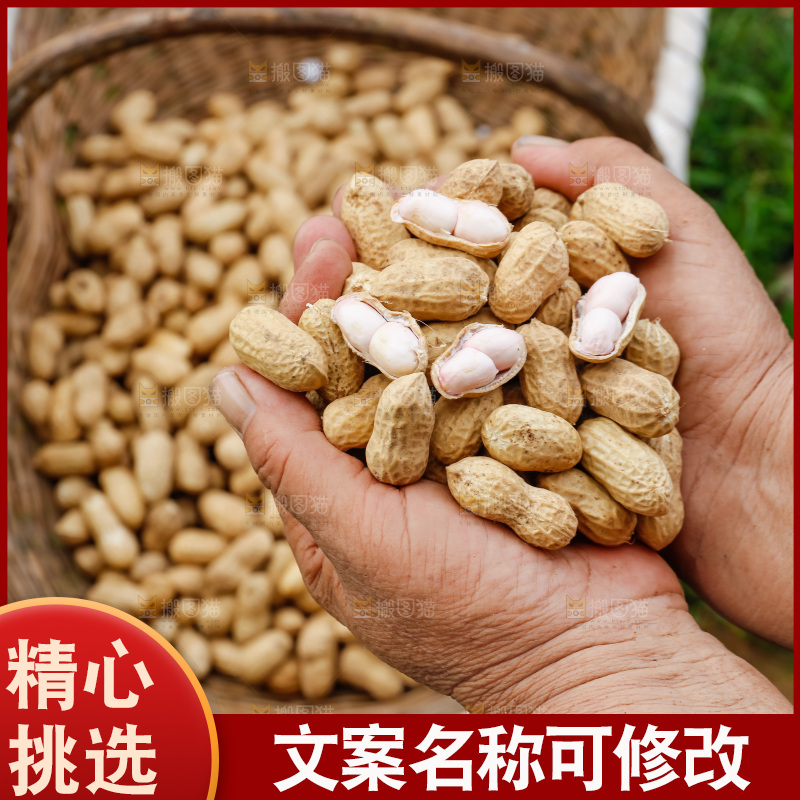 手里的捧着新鲜花生