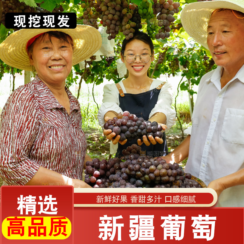 农民拿着一篮巨峰葡萄