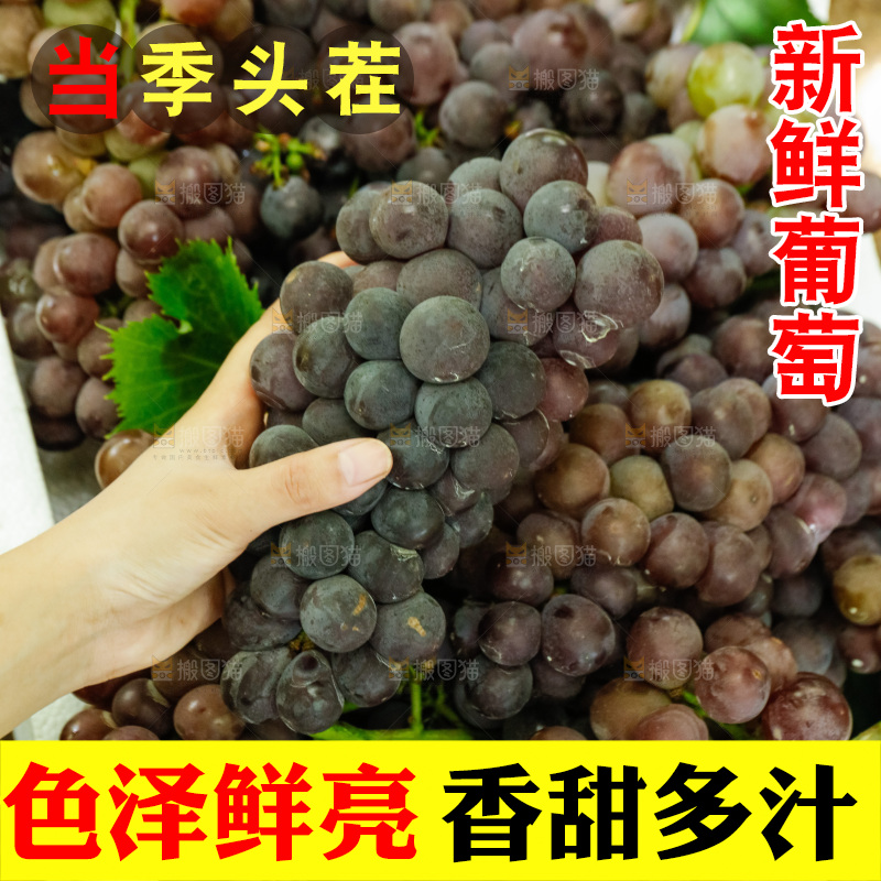 手里拿着新鲜葡萄