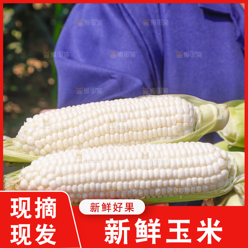 手里拿着牛奶水果玉米