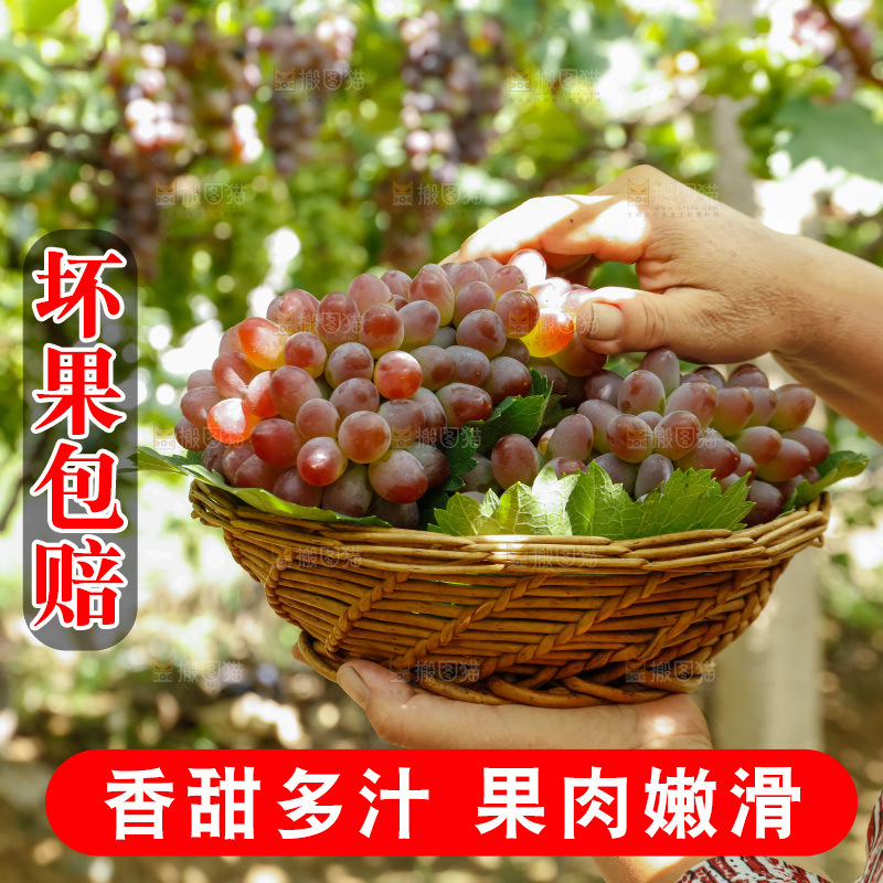 手里拿着一篮茉莉香红提