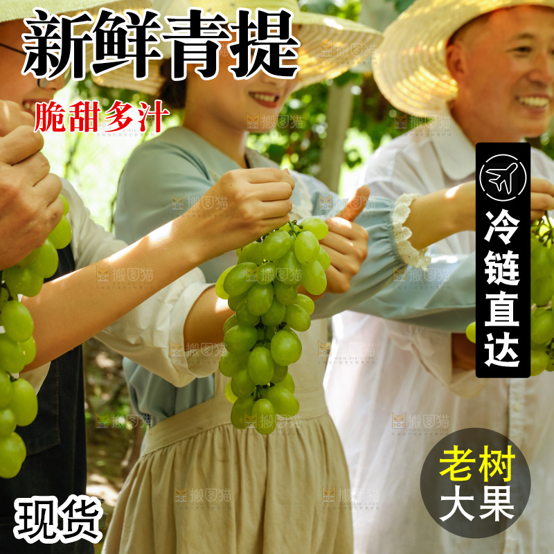 果农手里拿着青提葡萄