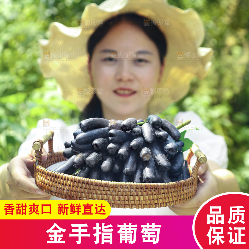 女孩手里的一篮美人指葡萄
