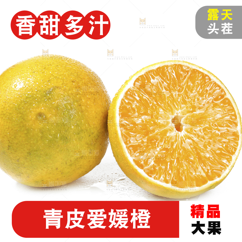 白底上的爱媛果冻橙