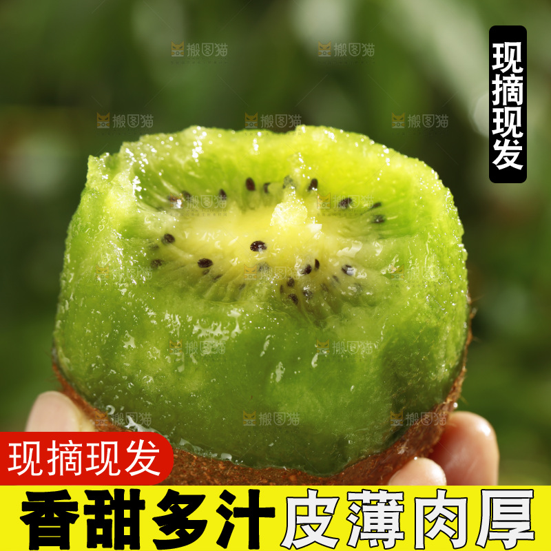 手里拿着绿心猕猴桃