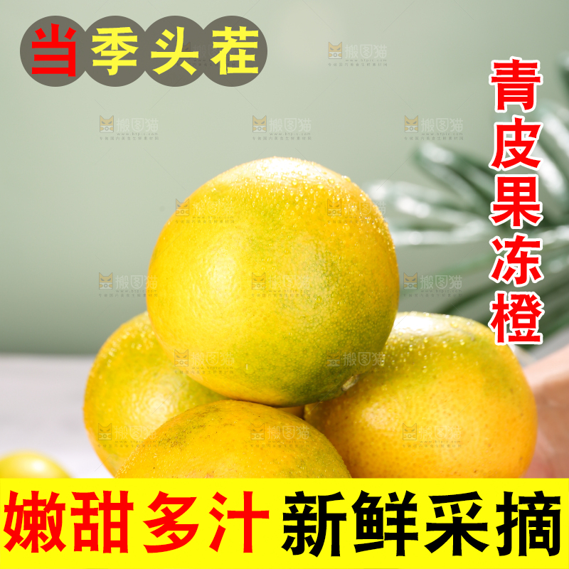手里堆放着爱媛果冻橙