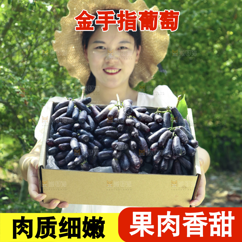 女孩拿着一盒美人指