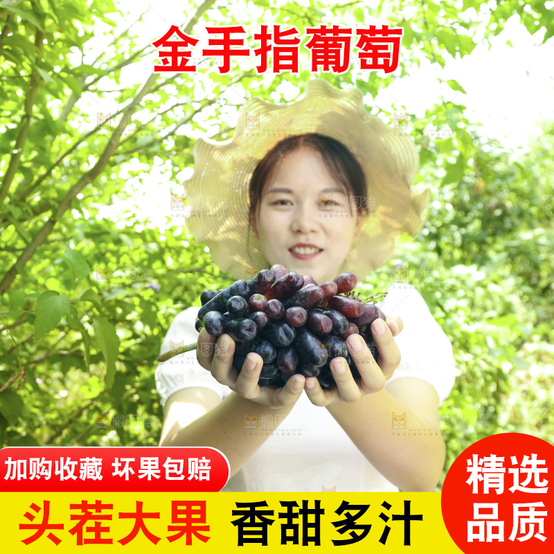 女孩手里拿着美人指葡萄