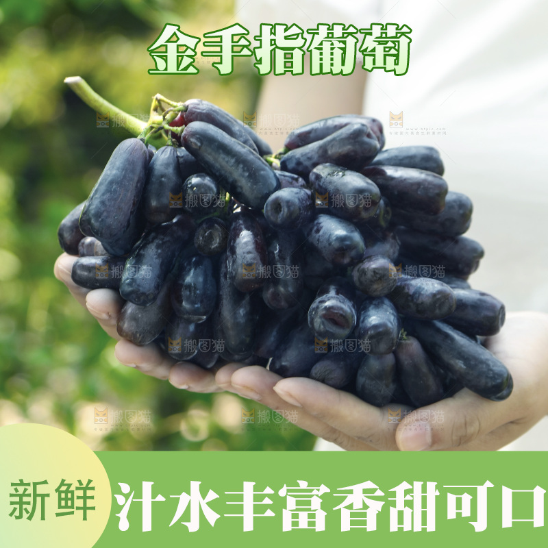 手里拿着一串蓝宝石葡萄