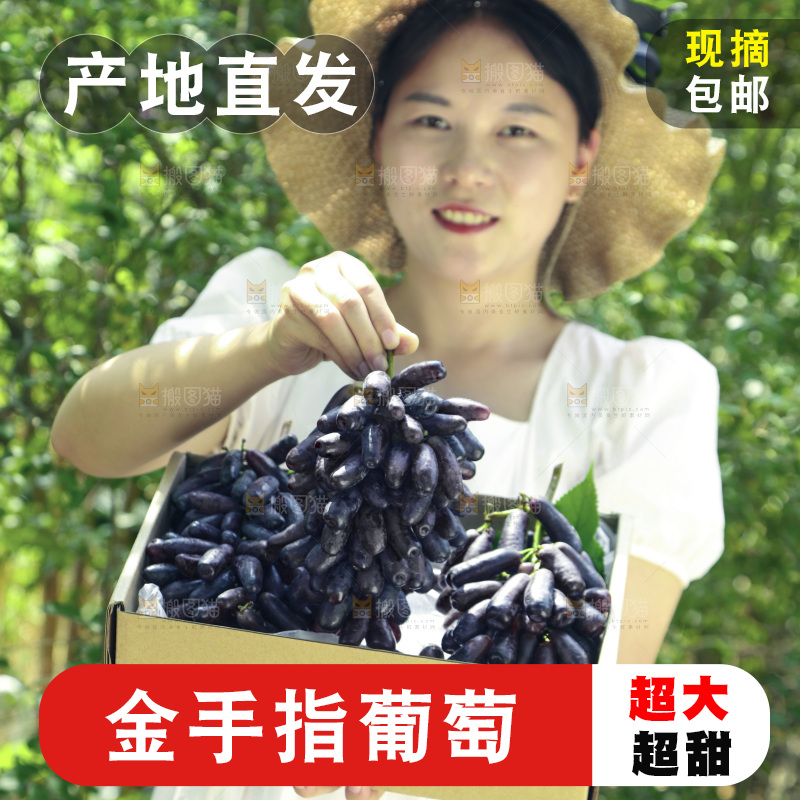 女孩拿着一盒蓝宝石葡萄