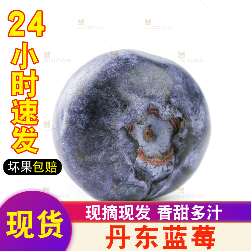 白底上放着的新鲜蓝莓