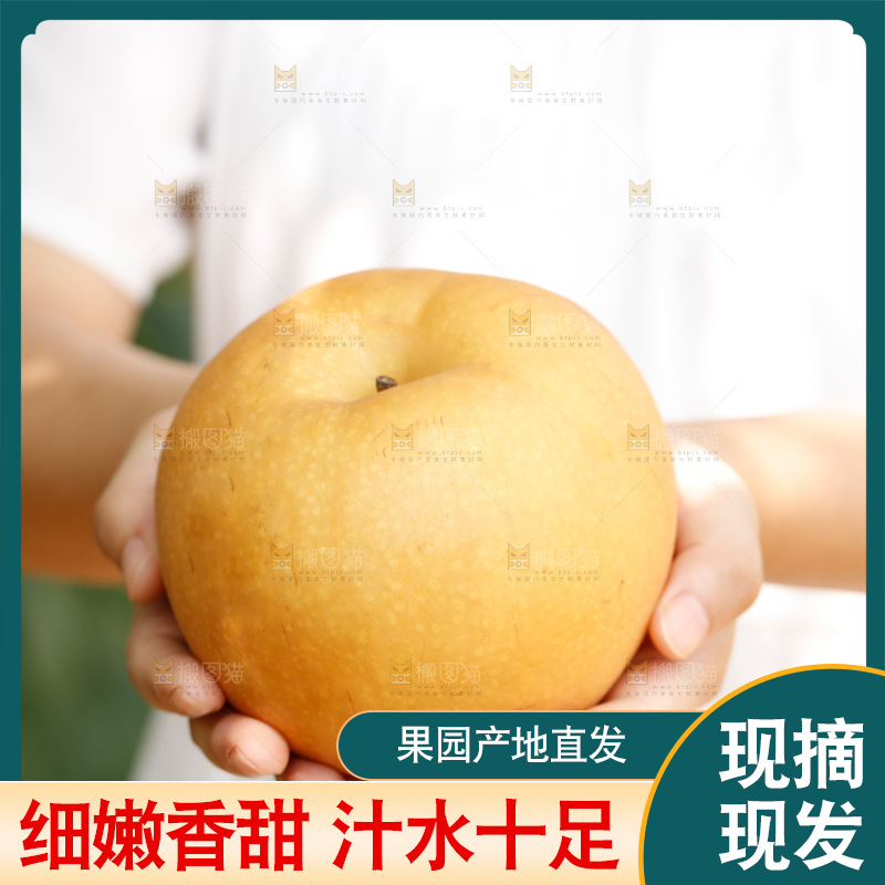 手里拿着新鲜秋月梨