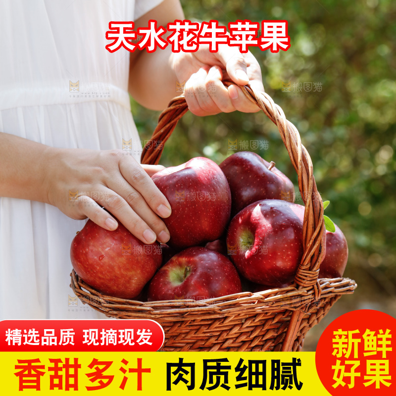手里提着一篮红苹果