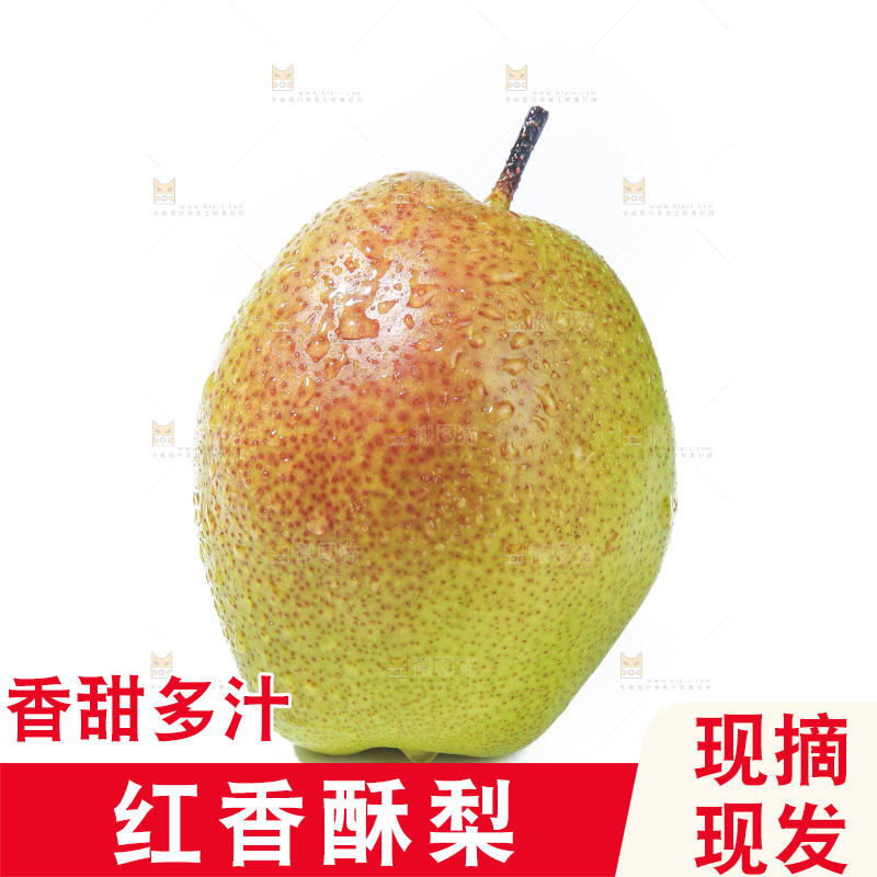 白底上的红香酥梨