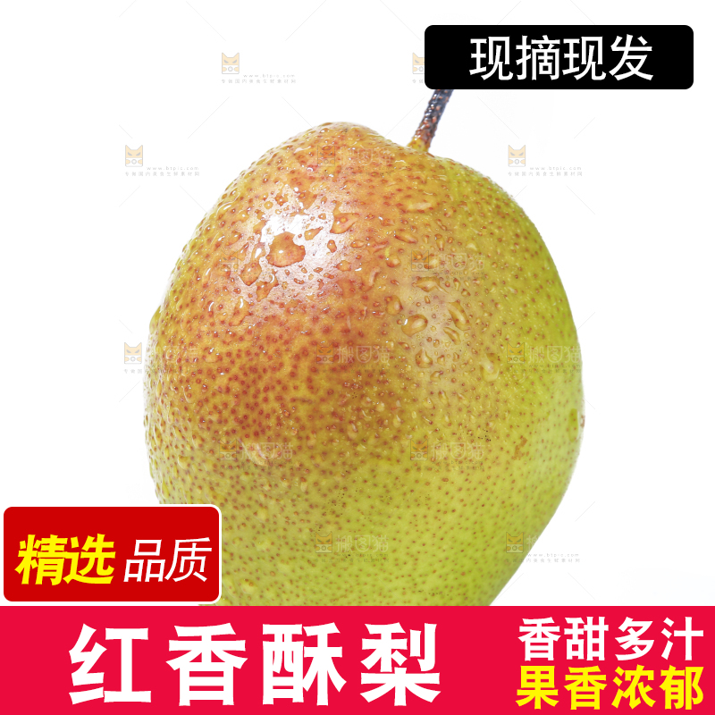 白底上的红香酥梨