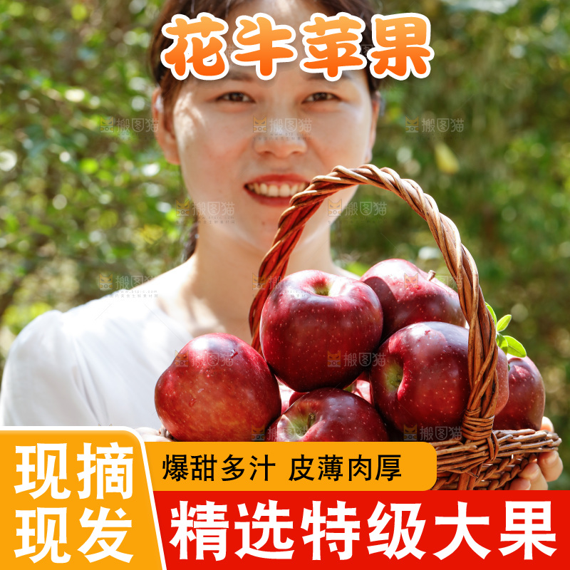 女孩手里拿着一篮花牛苹果