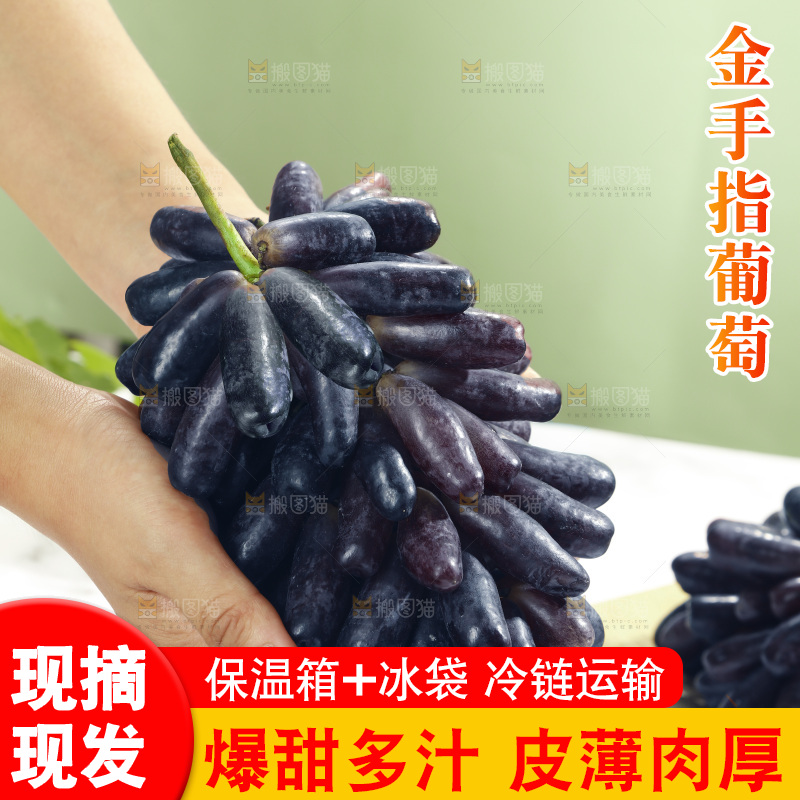 手里拿着美人指黑提