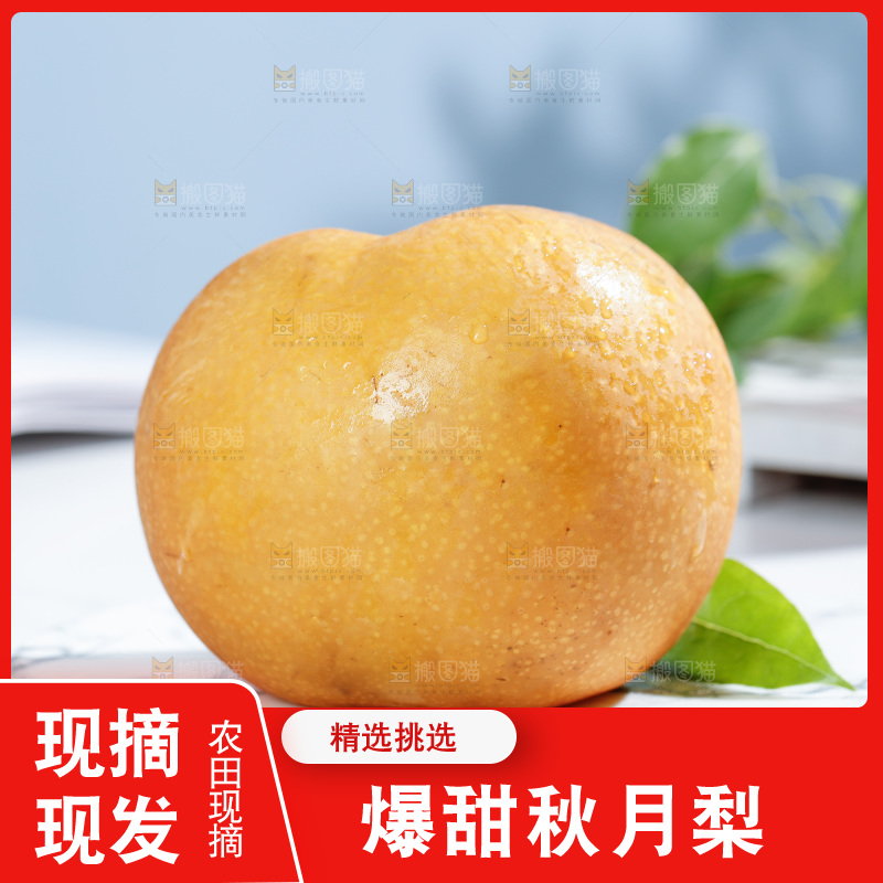 盘子里的莱阳秋月梨