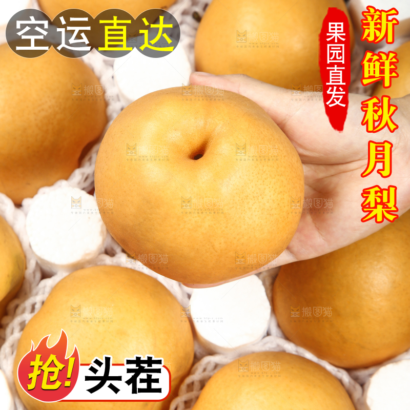 手里拿着新鲜秋月梨