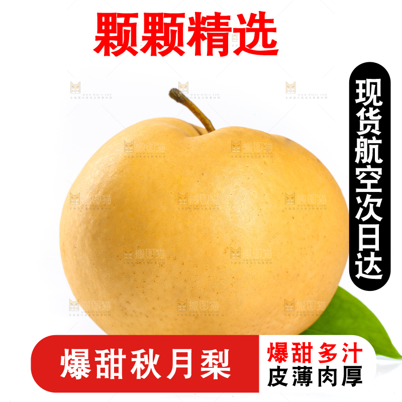 白底上的山东秋月梨