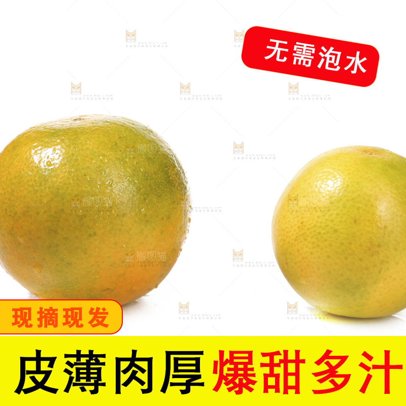 白底上的爱媛果冻橙