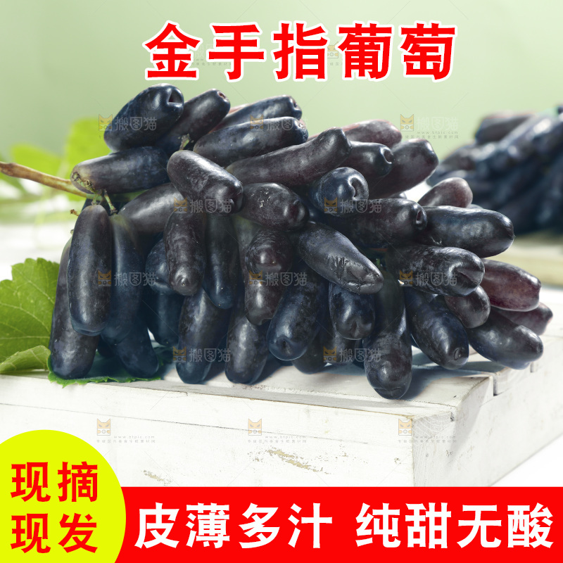 浅底上的美人指葡萄