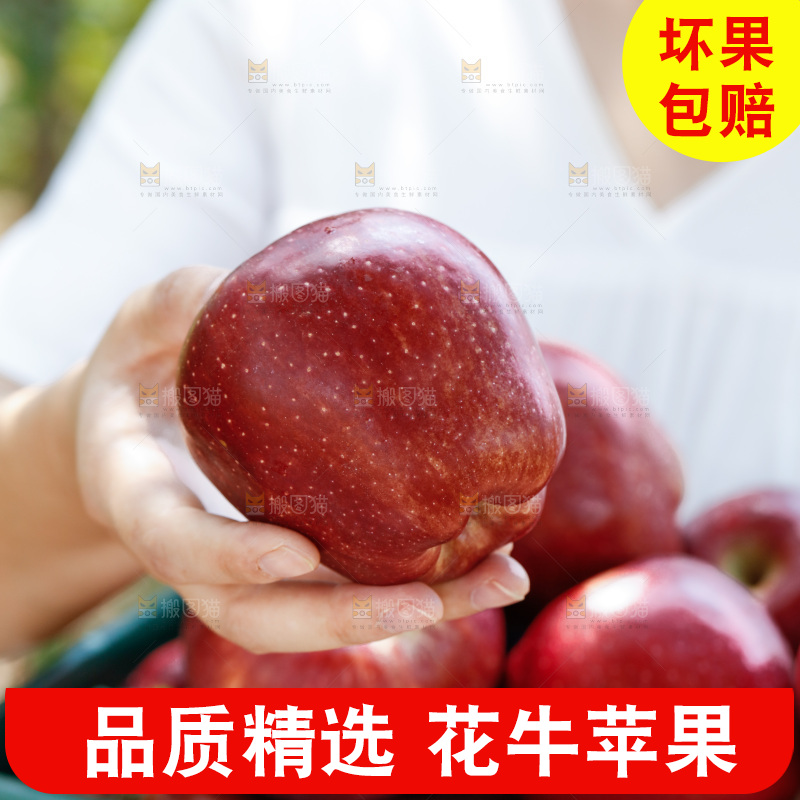 手里拿着花牛苹果