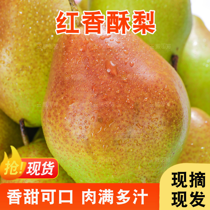 堆放着的红香酥梨