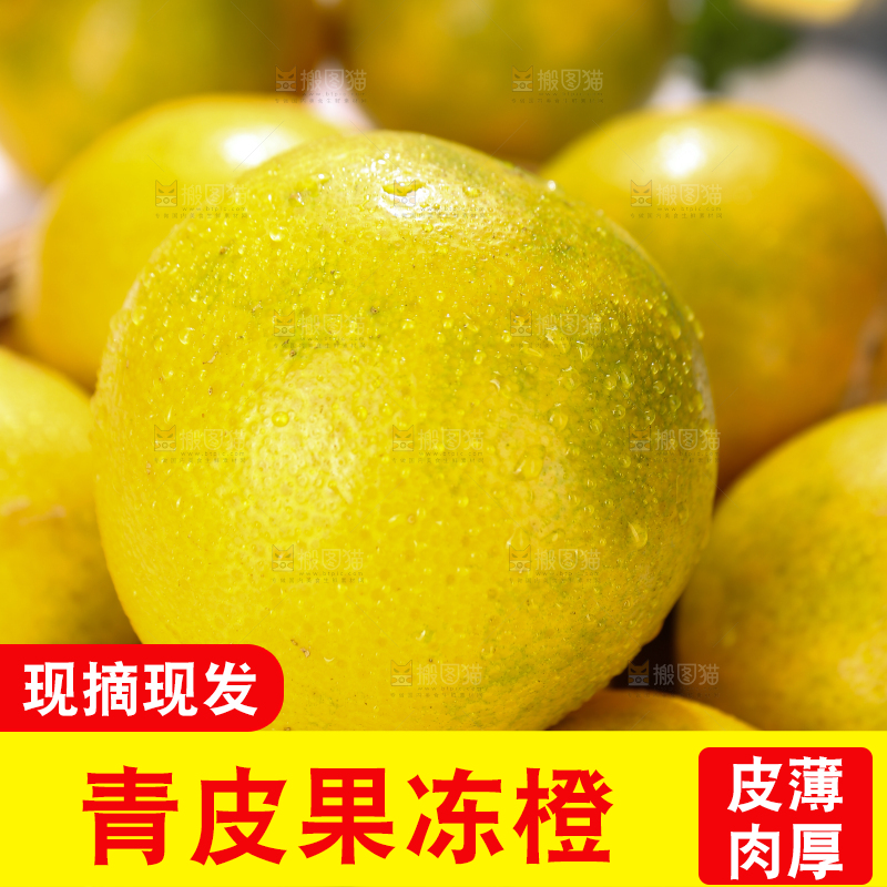 堆放着的爱媛38号果冻橙