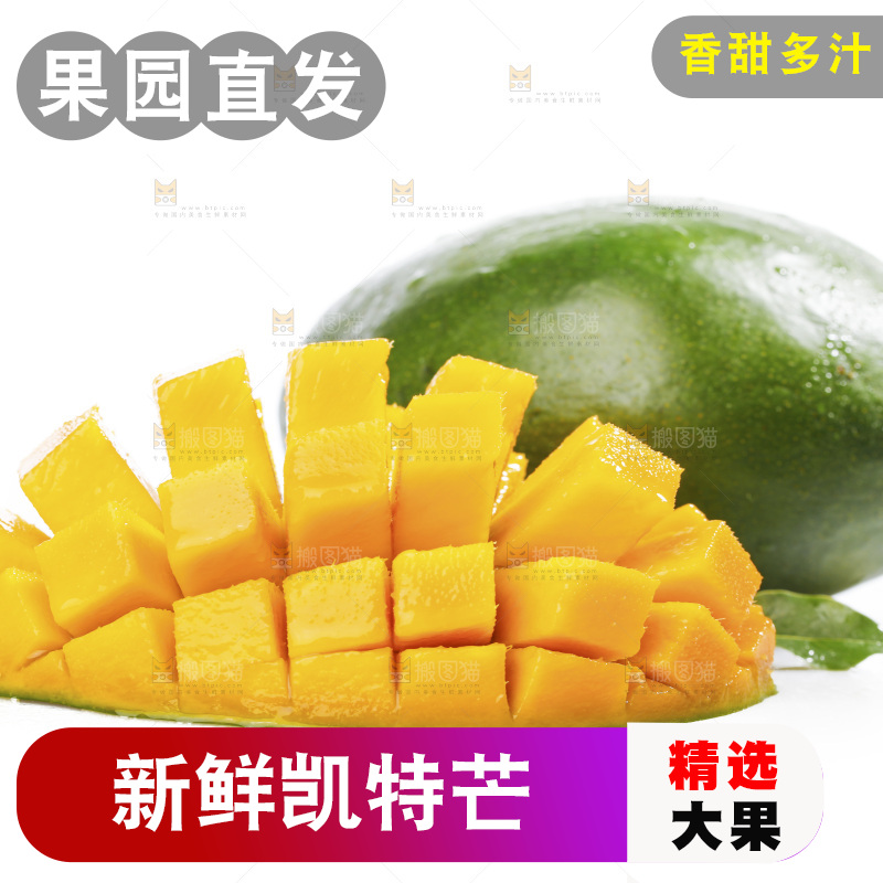 白底上切开的凯特芒