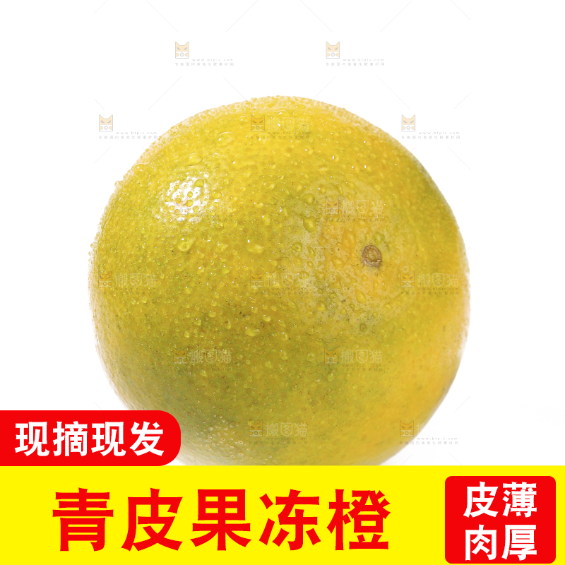 白底上的爱媛果冻橙