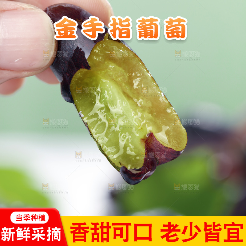 手里拿着美人指黑提