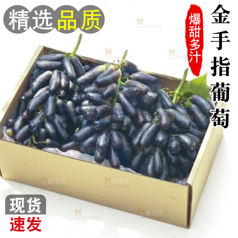 礼品盒里的美人指黑提