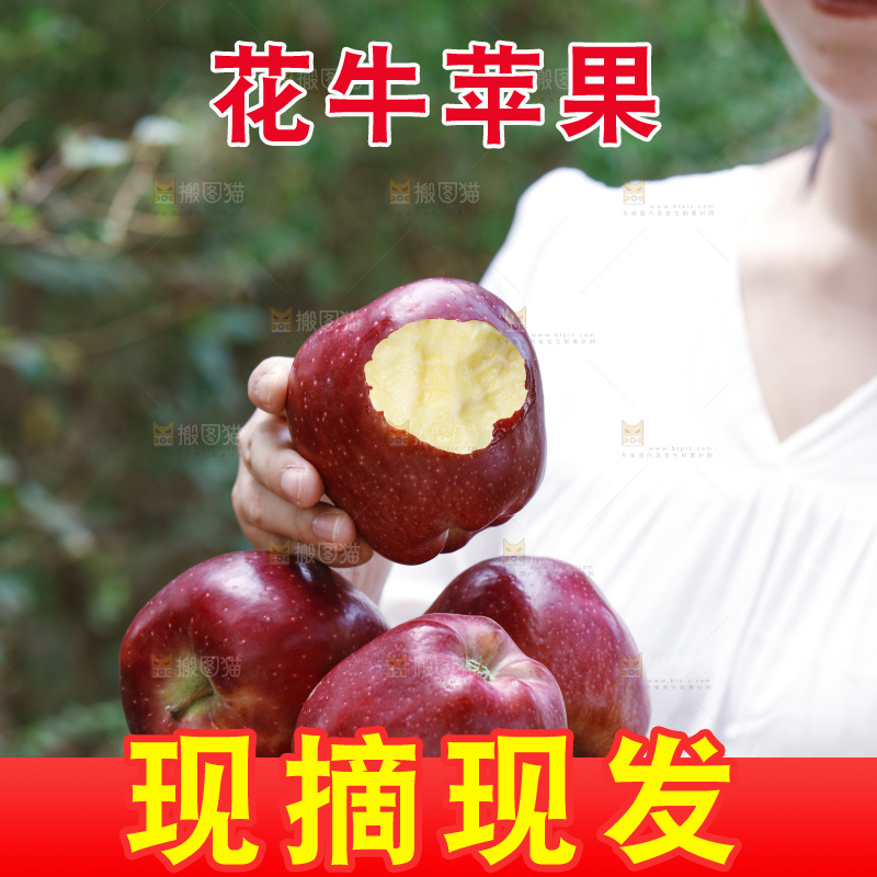 女孩手里拿着天水花牛苹果