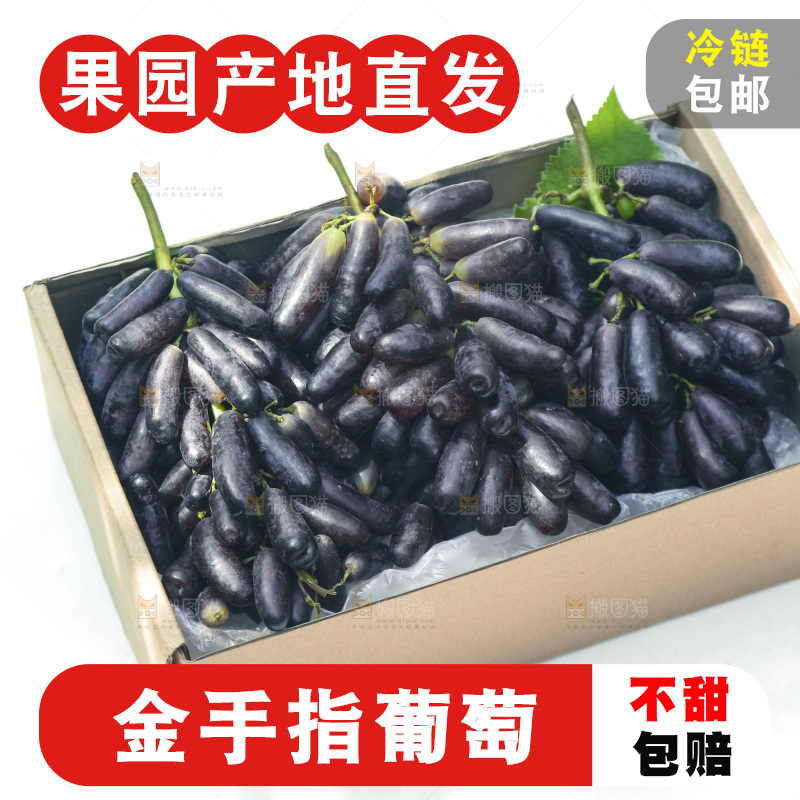 礼品盒里的美人指黑提