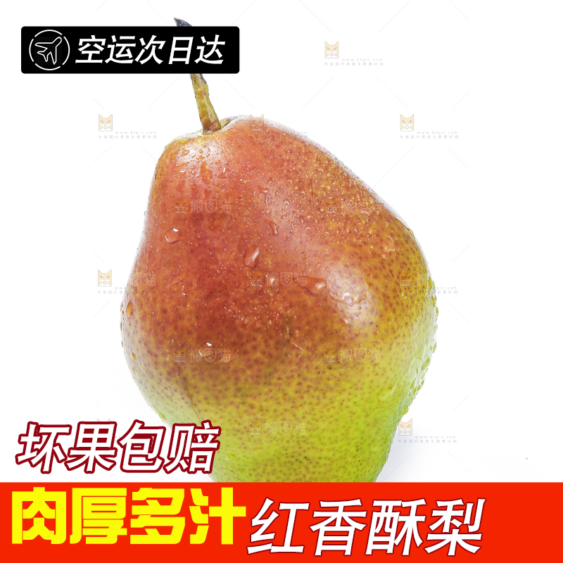 白底上的红香酥梨