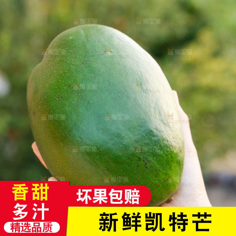 手里拿着凯特芒果
