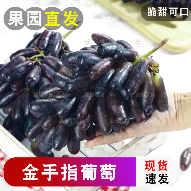 手拿着美人指黑提