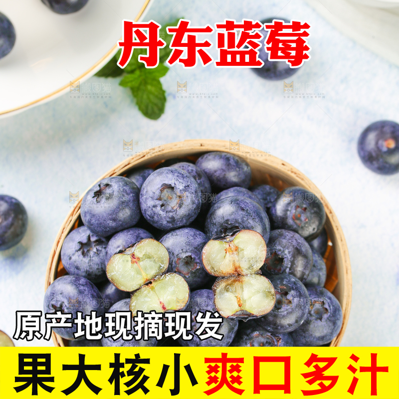 浅底上的一篮高山蓝莓