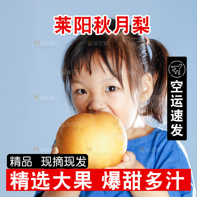 小孩拿着山东秋月梨