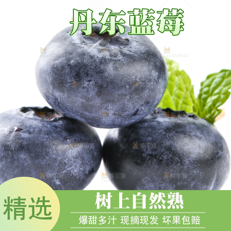 白底上放着的新鲜蓝莓