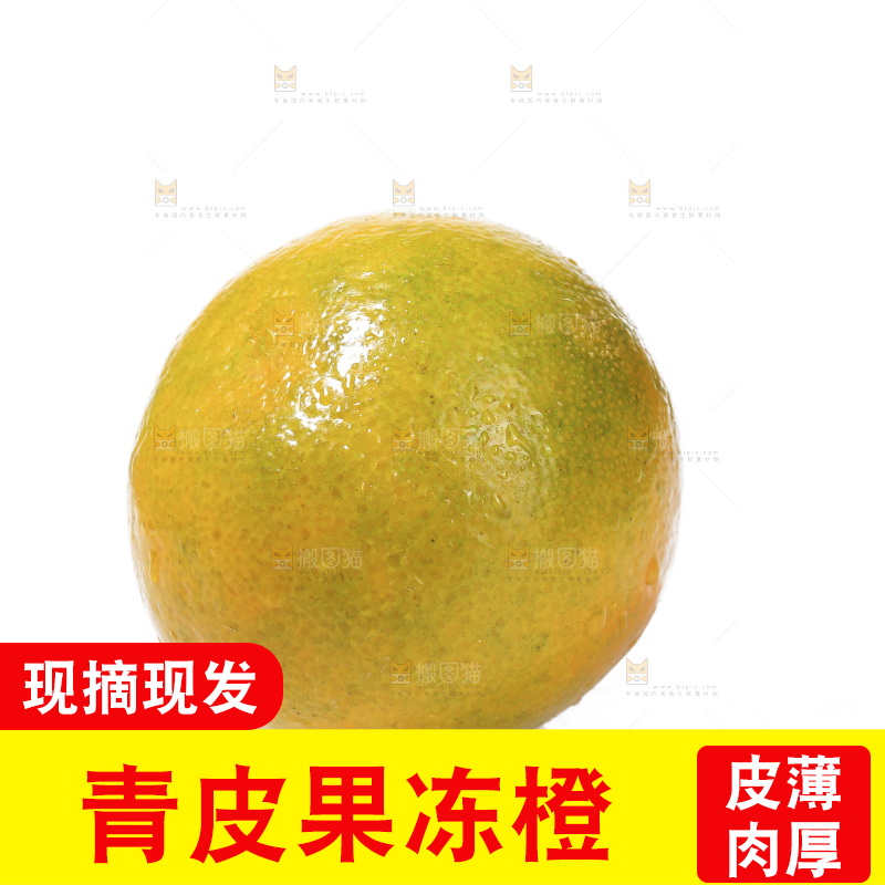 白底上的爱媛果冻橙
