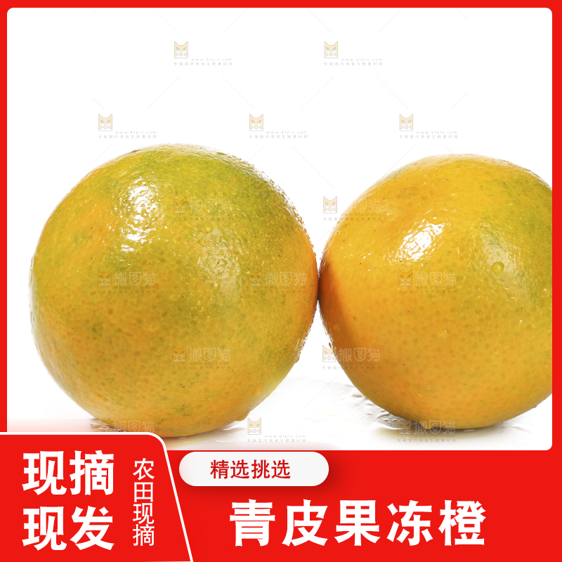 白底上的爱媛果冻橙