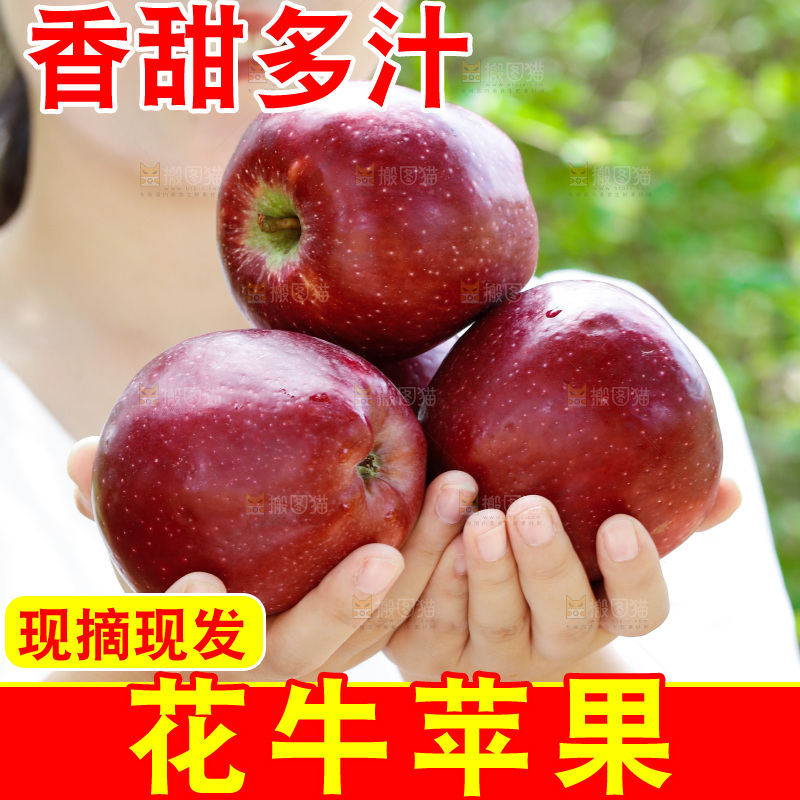 女孩手里拿着天水花牛苹果