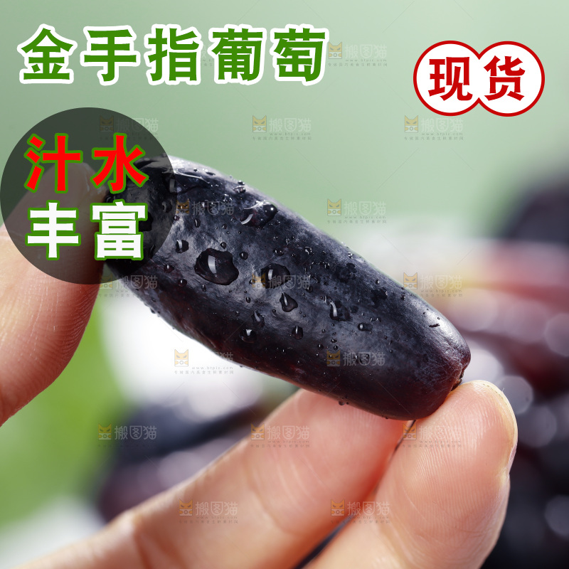 手里拿着美人指黑提
