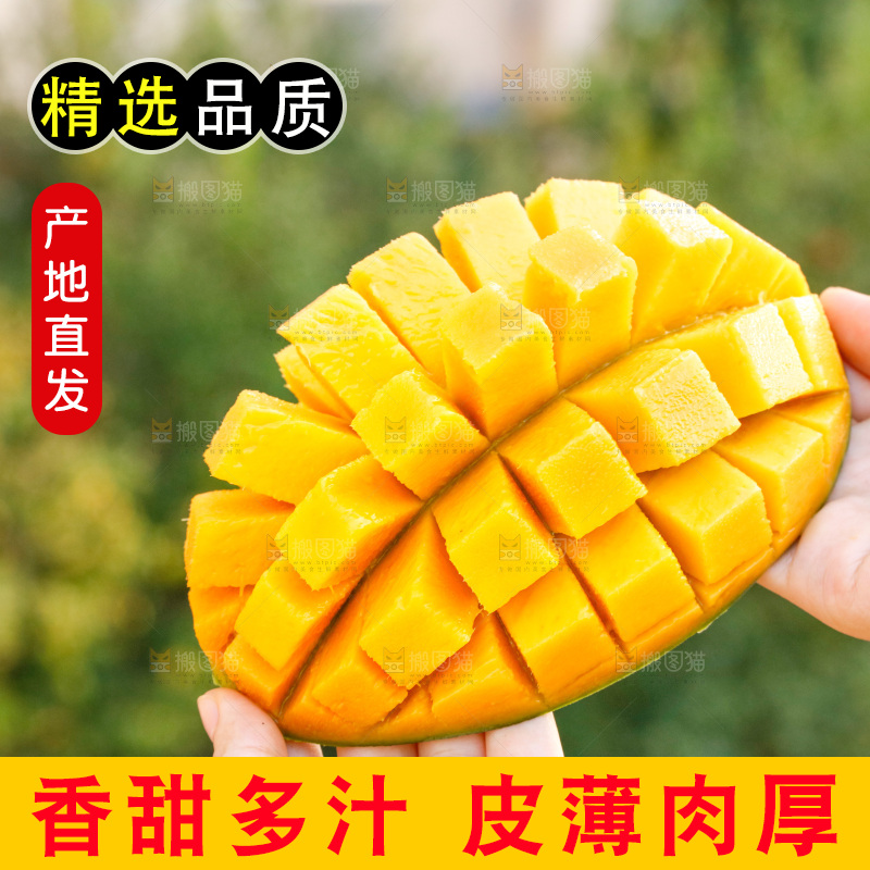 手里拿着青皮凯特芒